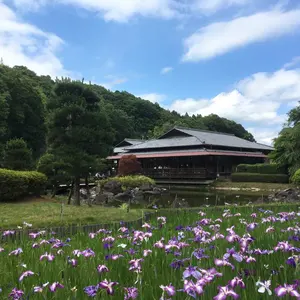 Y*i様 アードナムルッカン×秩父 アデルフィ ザ・グラバー4年 - メルカリ