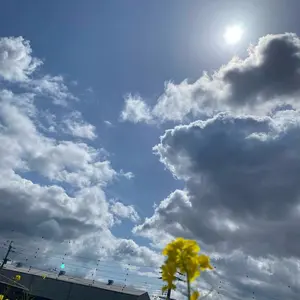 フォロワー様5%オフ 大会構築 オノマトライゼオルデッキ ①