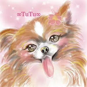 みき様♡専用ページです。∞TuTu∞ 犬服ハンドメイド - メルカリ
