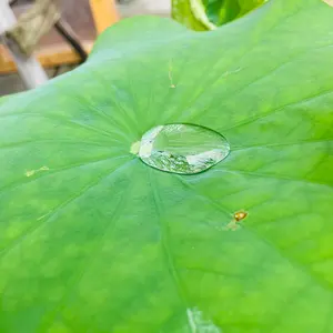 週末限定セール】エルメス マルジェラ期 カシミヤ ニット帽