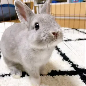 値下不可【YUNA企画】袖口ゴ刺繍3WAYワンショルスウェット