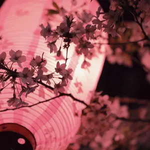GLAY30thウエハース vol.2 HISASHIサイン入りレアカード - メルカリ