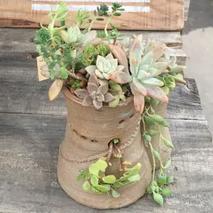 超美品】キャビリポプロ セルリポ スキンレックス キャビテーション