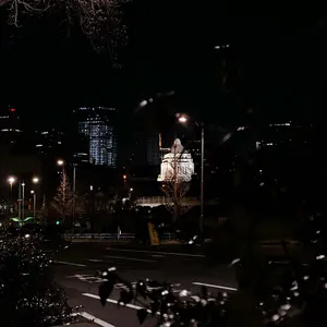 だいにぐるーぷ ボストンバッグ - メルカリ