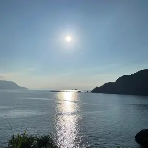 し*ん様 CELFORD パールボタン ブラックロングジレ　 セルフォード し*ん様 CELFORD パールボタン ブラックロングジレ セルフォード