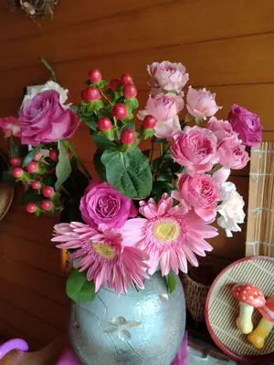 あいあい