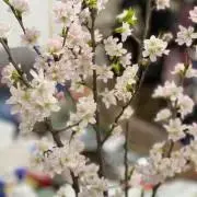 編みぐるみ♡トイプードル♡ひなまつり♡飾り♡インテリアコンパクト