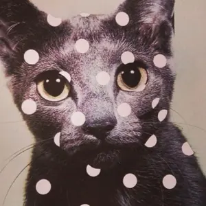 4万円割引き中‼️即配達‼️売り尽くし破格‼️木製 波形パーテーション