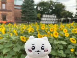 メダロットS クリアファイル A4サイズ メタビー&ロクショウ【非売品 
