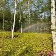 [Alexandros] リング　Sサイズ Alexandros] リング Sサイズ