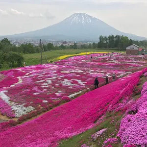 レーシングギア ストリートライドTYPE-K2 JG3 N-ONE RS FF - メルカリ