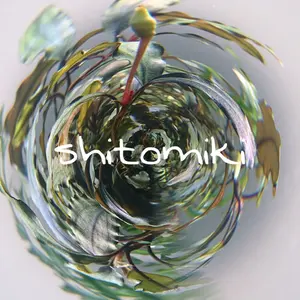 エーハイム 2217 ろ材2点 排水吸水パイプ - メルカリ