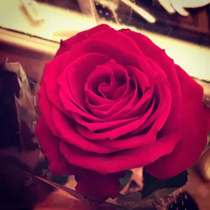 sukekiyo 夢御伽教-漆黒の儀- アクスタ YUCHI アクリルスタンド - メルカリ