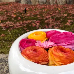 R★商品説明欄一読願います