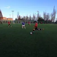 F50 ヘビ柄 サッカースパイク adidas F50 ヘビ柄 サッカースパイク - メルカリ