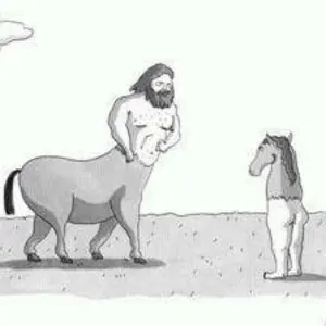 23-24 SALOMON DIALOGUE RACE 27cm ［3回使用］ - メルカリ