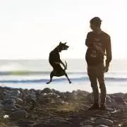 bam