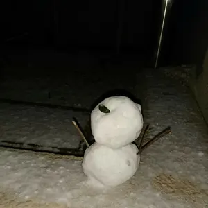 きんぴらいろはす