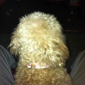 フルカーボンMIKE CASEY ロングボード フルカーボンMIKE CASEY ロングボード - メルカリ