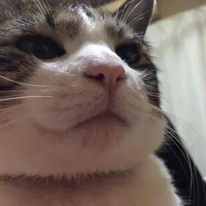ホットショット』 四輪独立サス仕様のフルセット - メルカリ