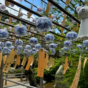 須貝選手直筆サイン入り】 京都サンガ 2025 2nd ユニフォーム 2XL