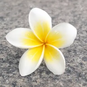 plumeria様ご予約品】ハンドメイドエプロン - メルカリ
