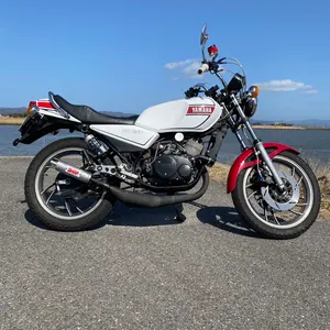 rz250ウエダ デットヒートレーシング チャンバー - メルカリ