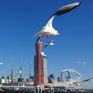 みなと神戸に咲く華「夕夜景」 A4サイズ光沢写真横 写真のみ 港町神戸