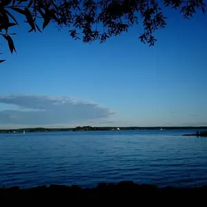 オーボエ シェーパー ティップ アクタス83番 - メルカリ