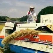 History CZテレキャスター フジゲン製 ハイエンドピックアップ交換