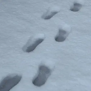 長尾景 にじフェス2023 DAY2 SYMPHONIA ランダム缶バッジ - メルカリ