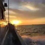 lrisvielプロフ必読 在庫整理中