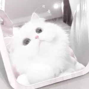 ばぁうくん A3痛バ - メルカリ