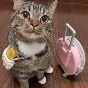 販売終了版】adidas エース 16.1-ジャパン 取替式 シルバー - メルカリ