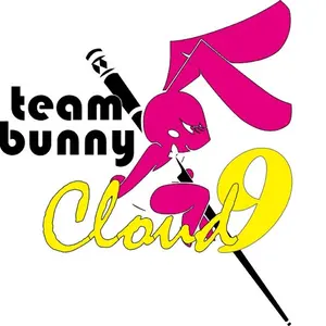 在庫】Raptors Mit Jump Cue(カーボンジャンプキュー) - メルカリ