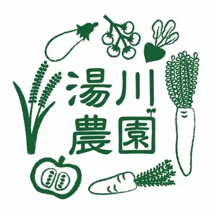 無農薬 無化学肥料 臼挽き抹茶 大100g1袋 粉末 京都 和束 湯川農園