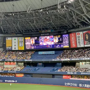 今宮健太選手ミニチュアグラブ - メルカリ