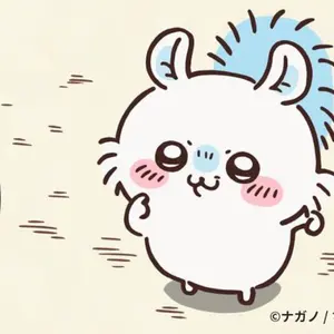 S*H様 KNOSIS ロゴパーカー XXLサイズ - メルカリ