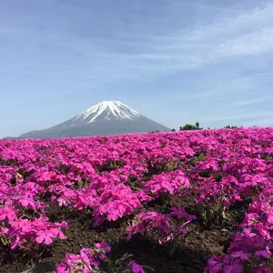 し*読様 日プ新世界 コンセプト評価直筆サイン入りチェキ 小笠原 ジュゼッペ 慧 し*読様 日プ新世界 コンセプト評価直筆サイン入りチェキ 小笠原