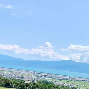 シークレット】精霊の花祭り ポロ キーリング ブラインドボックス