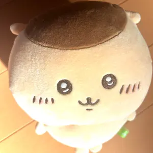 パラミスティ