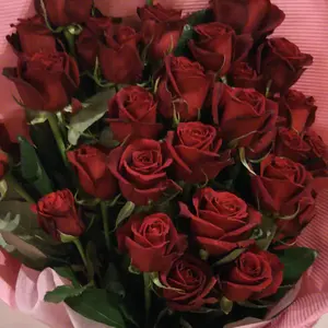 専用】リミーパウンダリーコンディショニング（未開封）お値下げしま