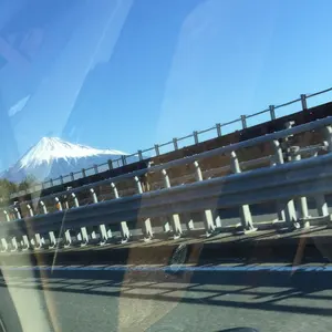 TOGNON セニングシザー ケース付き success Queenスター TOGNON セニングシザー ケース付き success Queenスター - メルカリ