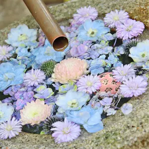 ホリ譚 シブツタカフェ コンプセット コースター 演劇調異譚「xxxHOLiC」 -續・再- コラボレーションカフェ開催決定