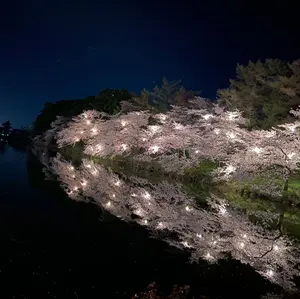 櫻坂46 cool キーリング 新せ界 ガーガー 小林由依 - メルカリ