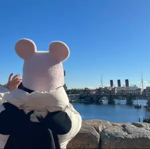 新品 ダッフィー&フレンズ スプリングインブルーム掛け布団カバー・枕