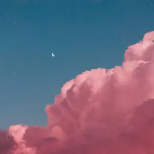 TEMPEST 特典トレカ JAPAN SHOWCASE ショケ ショーケース - メルカリ