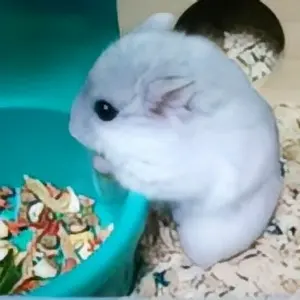 三海