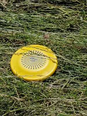 supreme シュプリーム 常田大希 King Gnu フライトキャップ 帽子