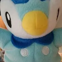 ぴかた